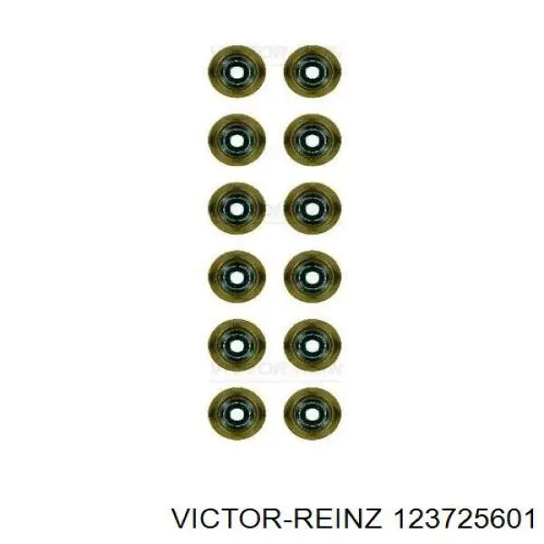 12-37256-01 Victor Reinz сальник клапана (маслосъёмный выпускного, комплект)