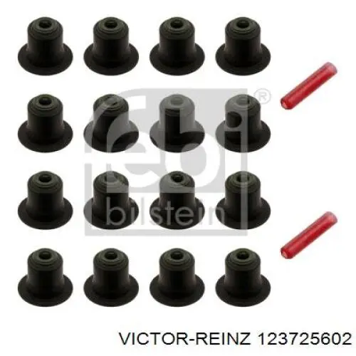 12-37256-02 Victor Reinz vedação de válvula (coletor de óleo, admissão/escape, kit para um motor)