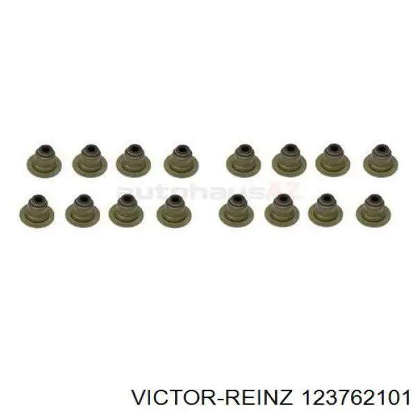 Сальник клапана впуск/выпуск, комплект на мотор Victor Reinz 123762101