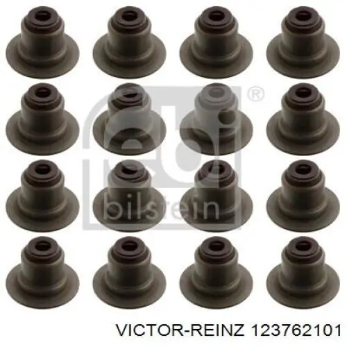 123762101 Victor Reinz Колпачок маслосъёмный