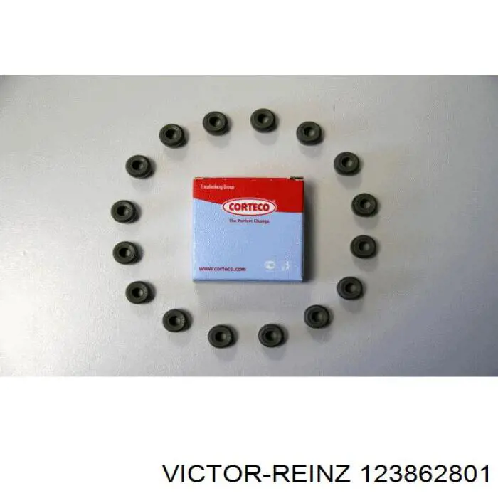123862801 Victor Reinz сальник клапана (маслосъемный, впуск/выпуск, комплект на мотор)