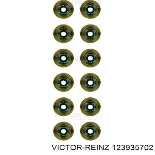 123935702 Victor Reinz Колпачок маслосъёмный