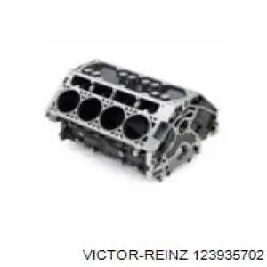 Купить 123935702 Victor Reinz Маслосъемный колпачок (сальник клапана) впуск/выпуск, комплект на мотор
