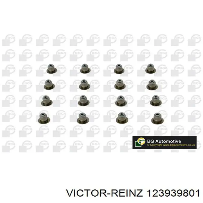 123939801 Victor Reinz