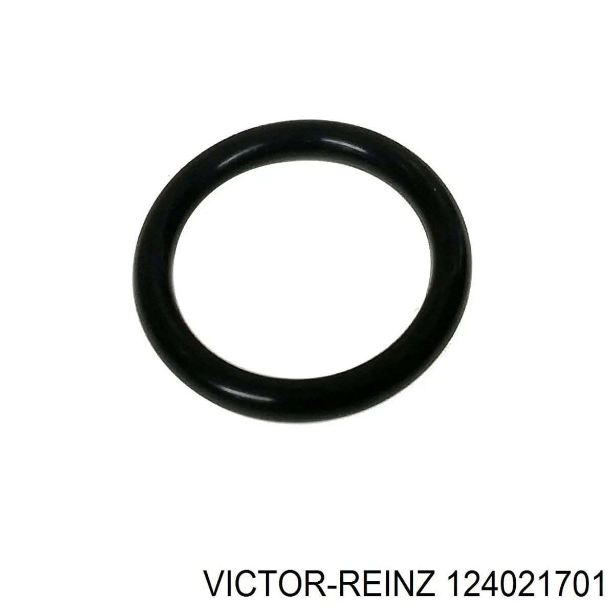 124021701 Victor Reinz сальник клапана (маслосъемный, впуск/выпуск, комплект на мотор)