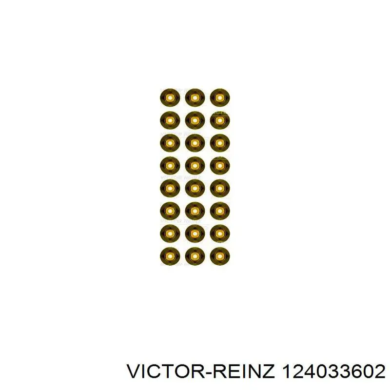 124033602 Victor Reinz 