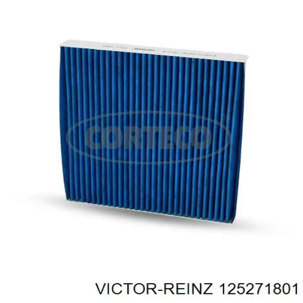 Купить 125271801 Victor Reinz Маслосъемный колпачок (сальник клапана) впуск/выпуск, комплект на мотор