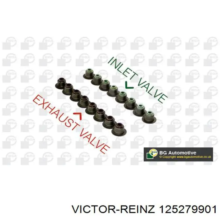 125279901 Victor Reinz сальник клапана (маслосъемный, впуск/выпуск, комплект на мотор)