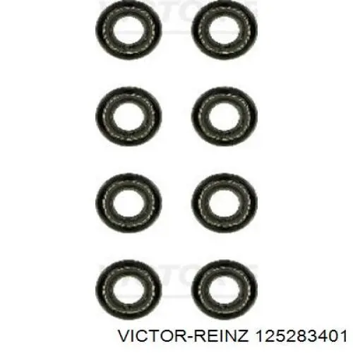 12-52834-01 Victor Reinz сальник клапана (маслосъемный, впуск/выпуск, комплект на мотор)