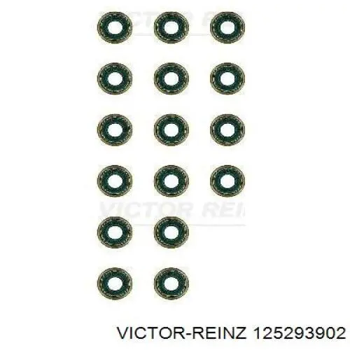 125293902 Victor Reinz сальник клапана (маслосъемный, впуск/выпуск, комплект на мотор)