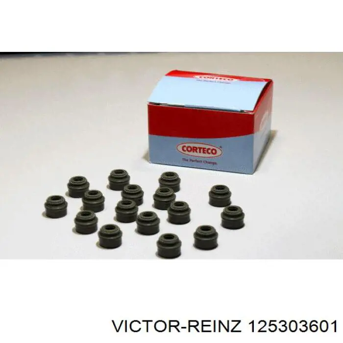 12-53036-01 Victor Reinz сальник клапана (маслосъемный, впуск/выпуск, комплект на мотор)