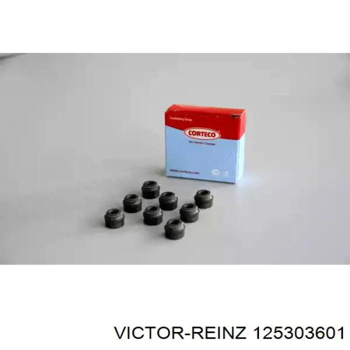 125303601 Victor Reinz