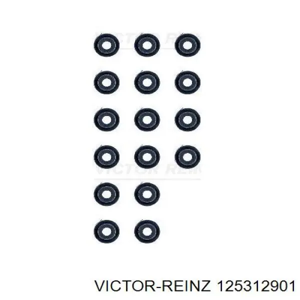 125312901 Victor Reinz сальник клапана (маслосъемный, впуск/выпуск, комплект на мотор)