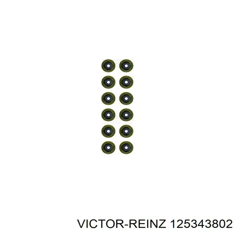 Сальник клапана (маслосъемный), впуск/выпуск, комплект на мотор Victor Reinz 125343802 цена, от 36.87 USD