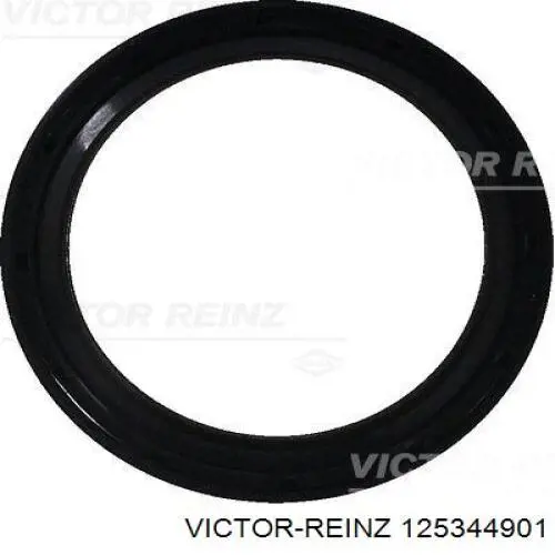 Сальник клапана (маслосъемный), впуск/выпуск, комплект на мотор Victor Reinz 125344901 цена, от 23.70 USD