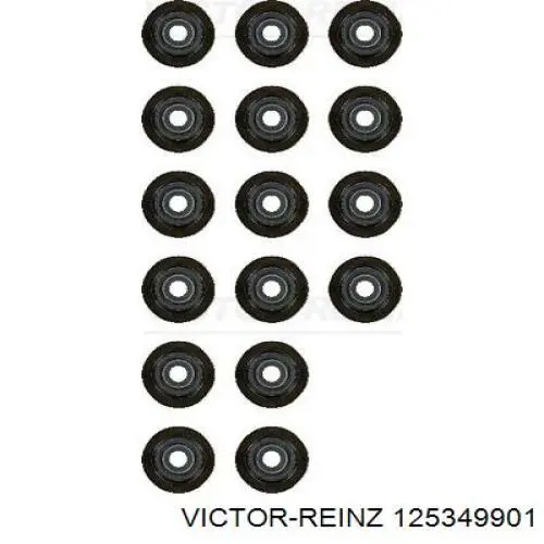 12-53499-01 Victor Reinz vedação de válvula (coletor de óleo, admissão/escape, kit para um motor)
