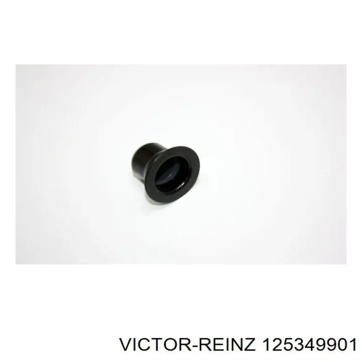 125349901 Victor Reinz