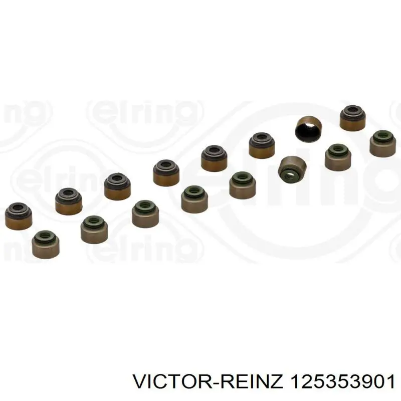 12-53539-01 Victor Reinz vedação de válvula (coletor de óleo, admissão/escape, kit para um motor)