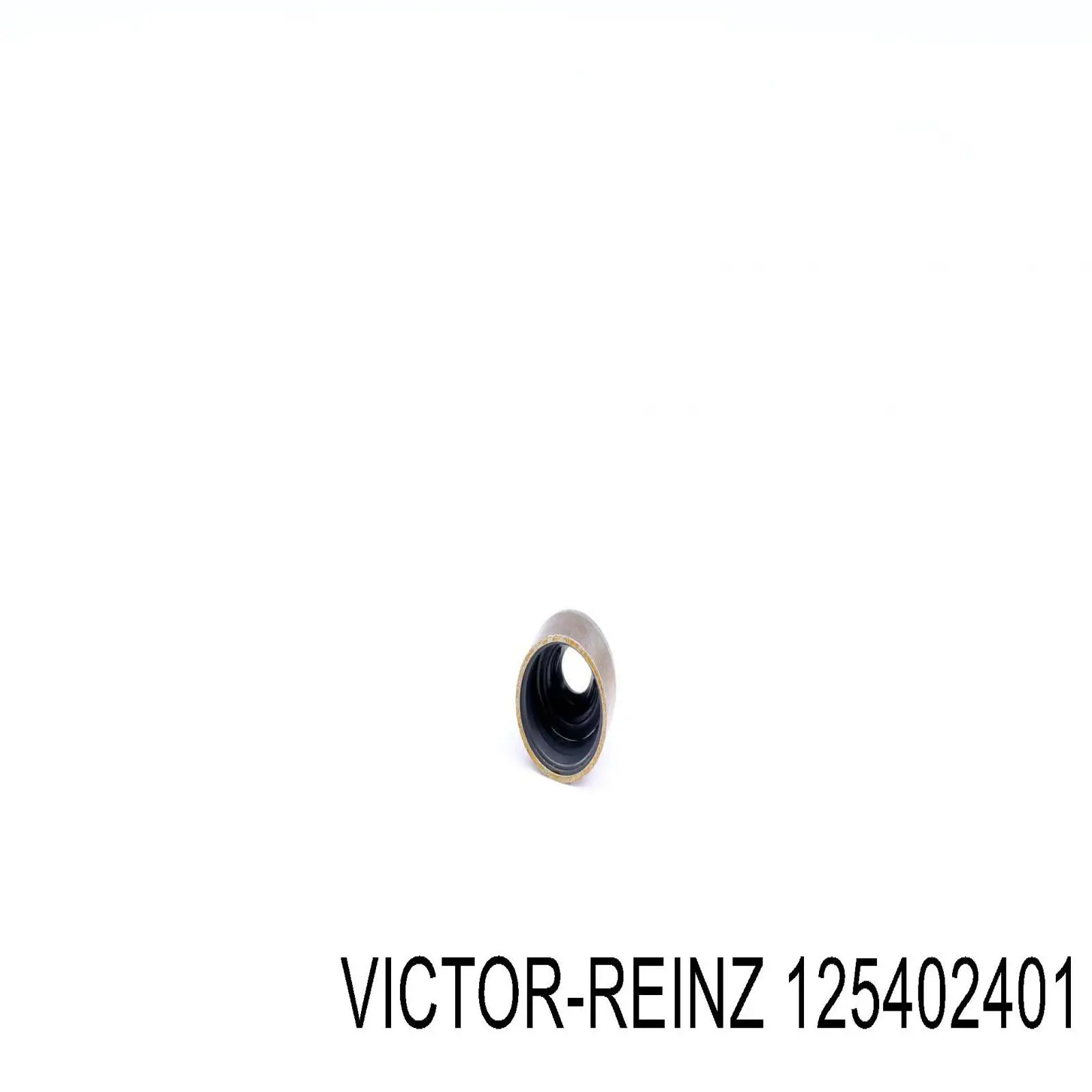 Купить 125402401 Victor Reinz Маслосъемный колпачок (сальник клапана) впуск/выпуск, комплект на мотор
