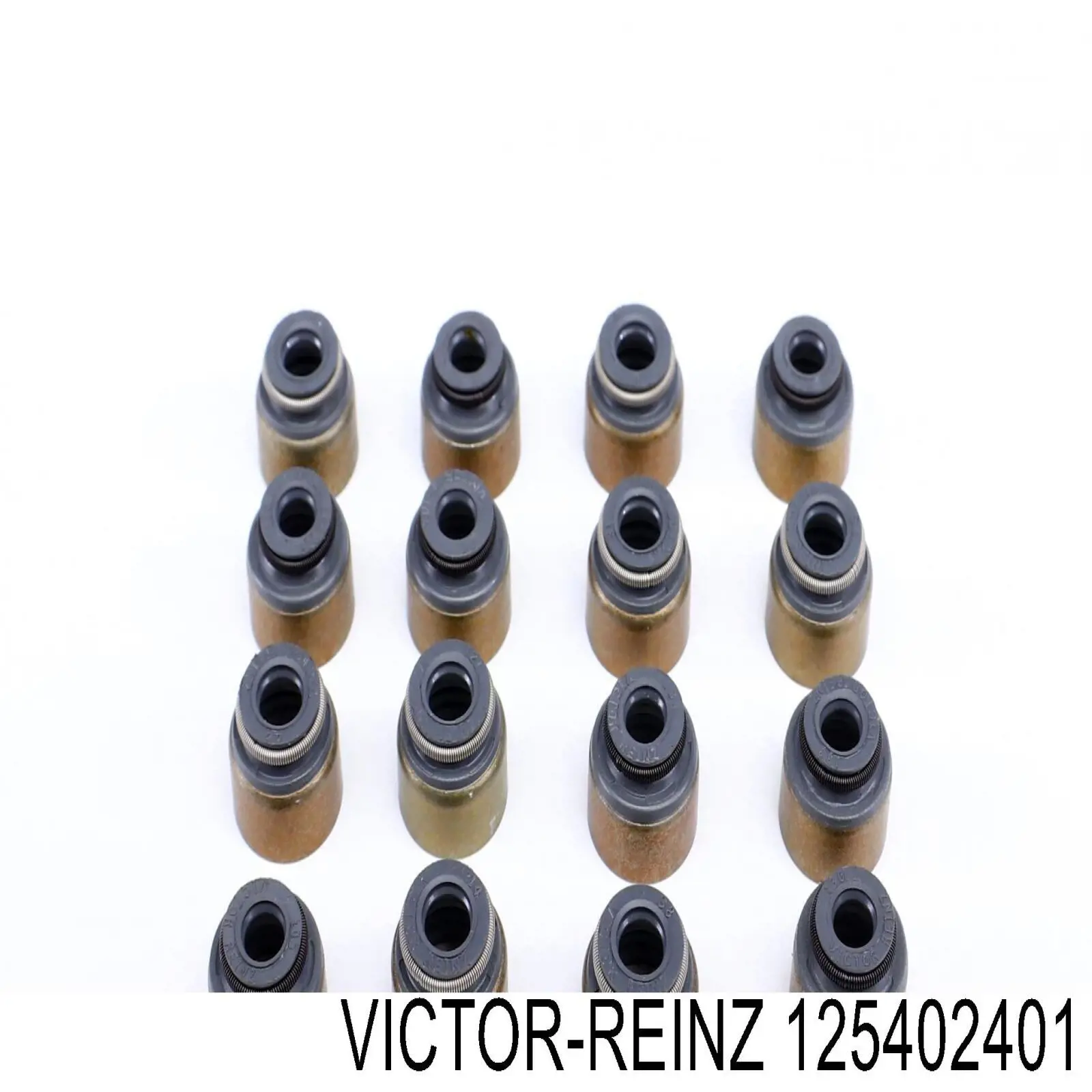 12-54024-01 Victor Reinz сальник клапана (маслосъемный, впуск/выпуск, комплект на мотор)