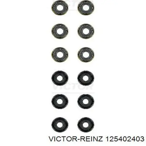 125402403 Victor Reinz сальник клапана (маслосъемный, впуск/выпуск, комплект на мотор)