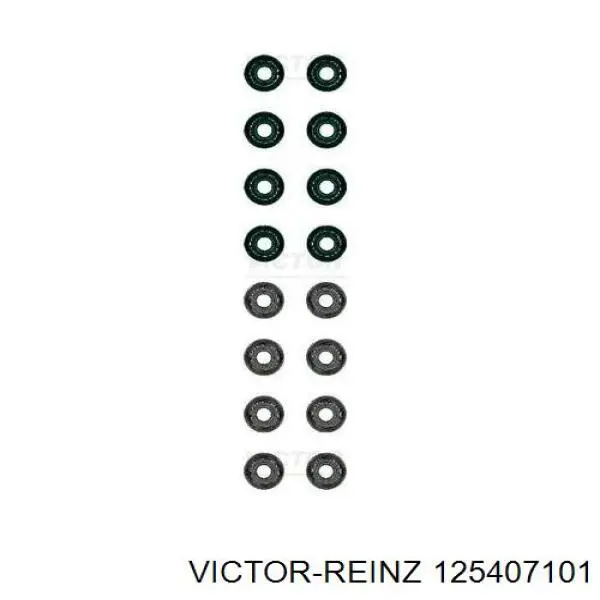 125407101 Victor Reinz vedação de válvula (coletor de óleo, admissão/escape, kit para um motor)