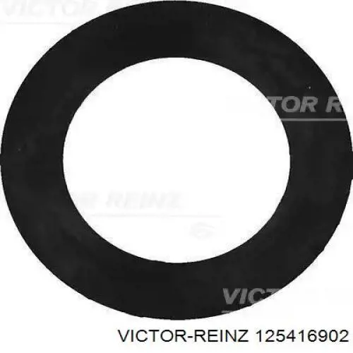 Купить 125416902 Victor Reinz Маслосъемный колпачок (сальник клапана) впуск/выпуск, комплект на мотор