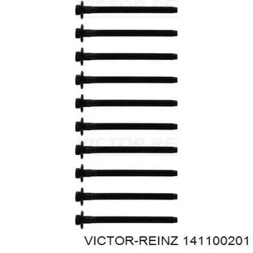 14-11002-01 Victor Reinz parafuso de cabeça de motor (cbc)