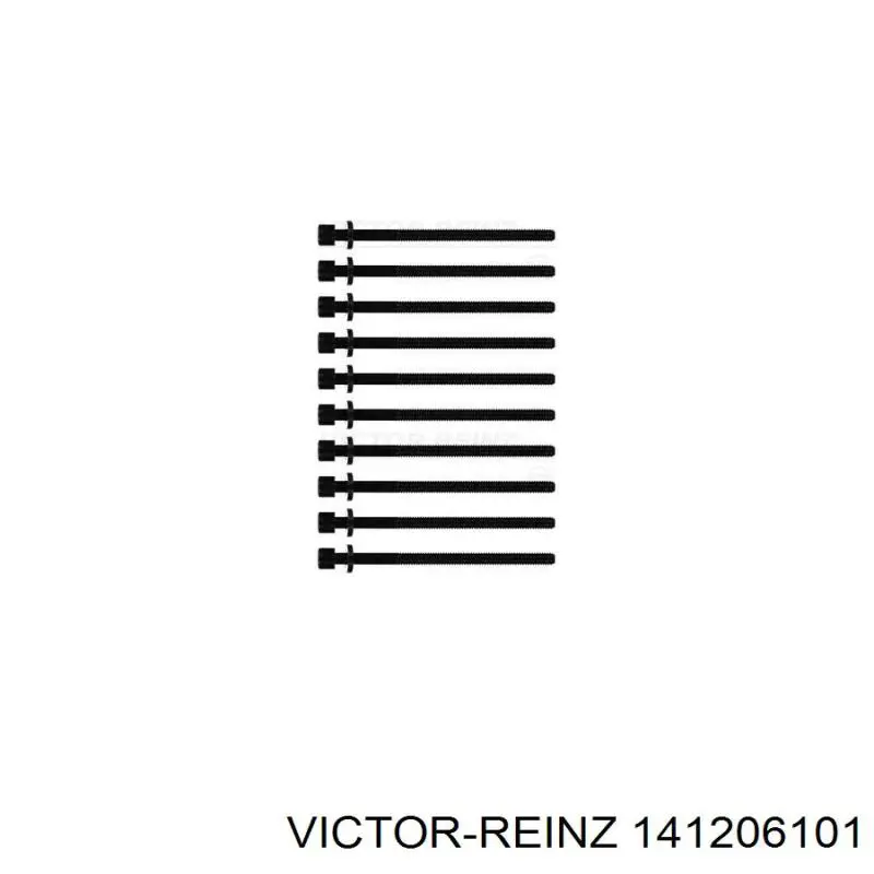 Tornillo de culata 141206101 Victor Reinz