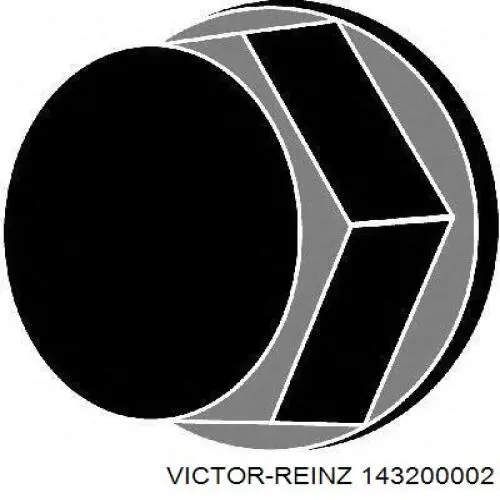 143200002 Victor Reinz болт гбц