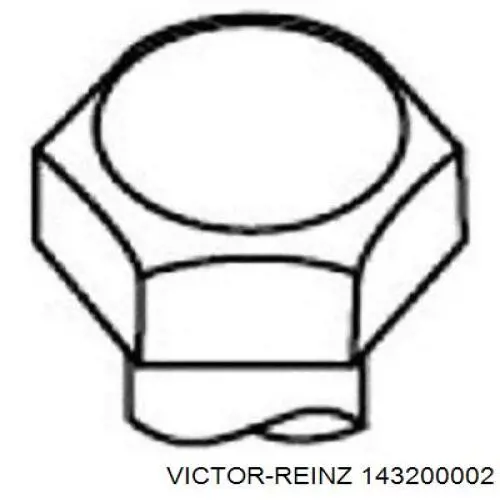Болт головки блока цилиндров, ГБЦ Victor Reinz 143200002 цена, от 29.29 USD