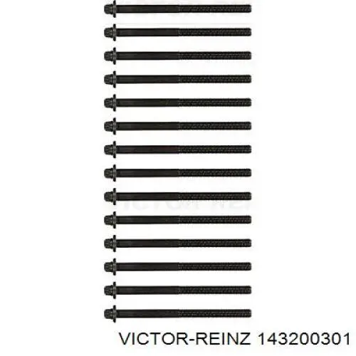 143200301 Victor Reinz parafuso de cabeça de motor (cbc)