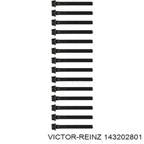 143202801 Victor Reinz болт гбц