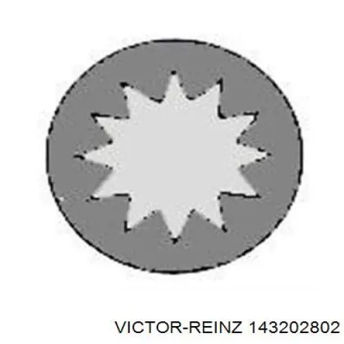 Болт головки блока циліндрів, ГБЦ 143202802 Victor Reinz