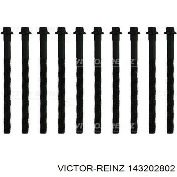 Болт головки блока циліндрів, ГБЦ 143202802 Victor Reinz