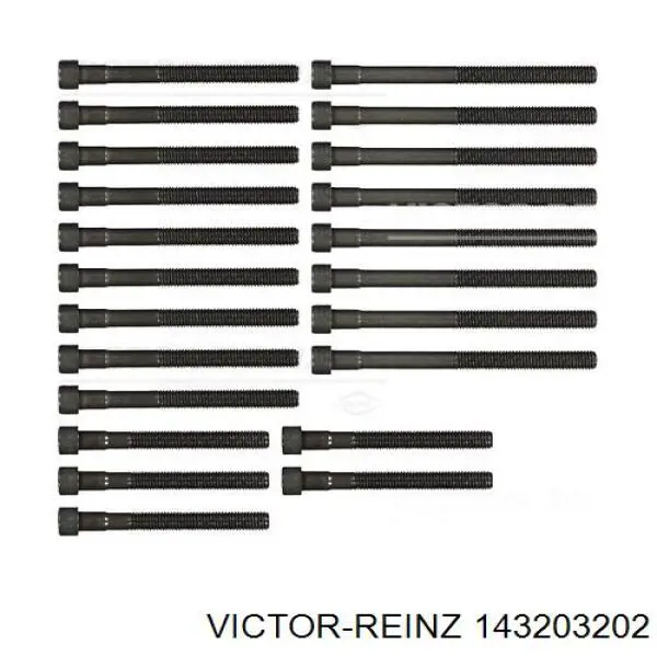 Болт головки блока цилиндров, ГБЦ Victor Reinz 143203202 цена, от 47.48 USD