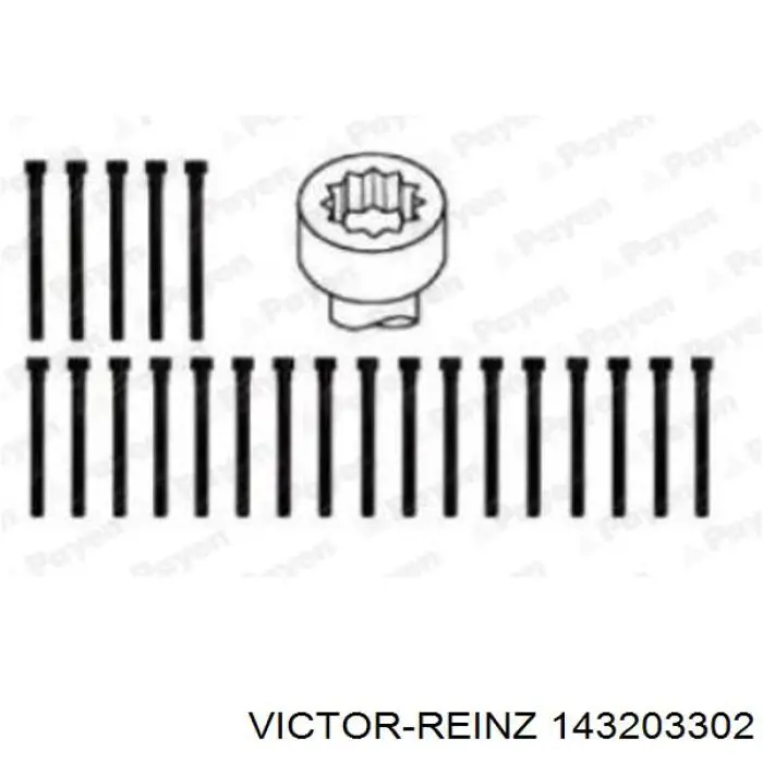 Болт головки блока цилиндров, ГБЦ Victor Reinz 143203302 цена, от 39.89 USD