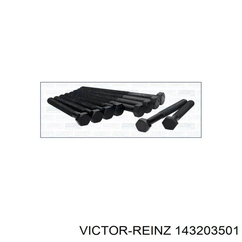 Купить 143203501 Victor Reinz Болт ГБЦ