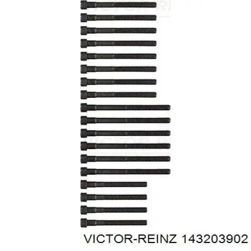Купить 143203902 Victor Reinz Болт ГБЦ