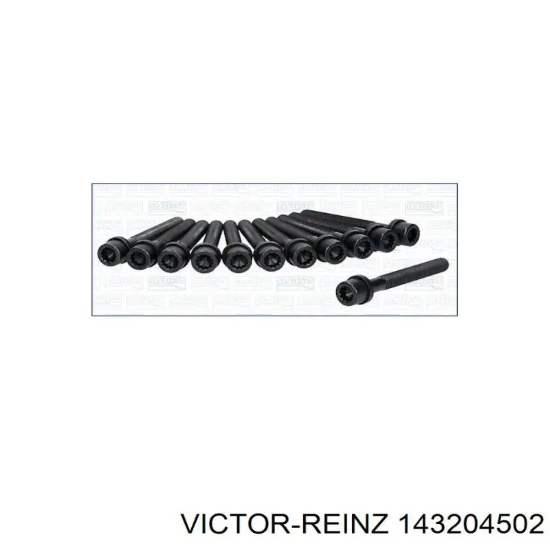 143204502 Victor Reinz Болт крепления головки блока цилиндров