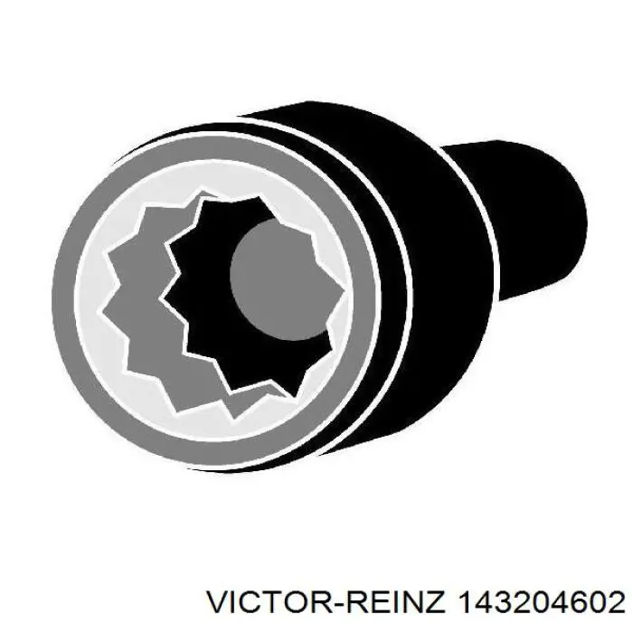 Болт головки блока циліндрів, ГБЦ 143204602 Victor Reinz