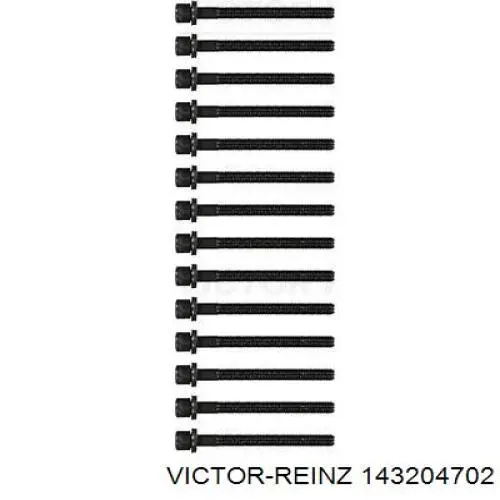 143204702 Victor Reinz