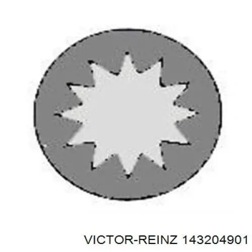 143204901 Victor Reinz Болт крепления головки блока цилиндров