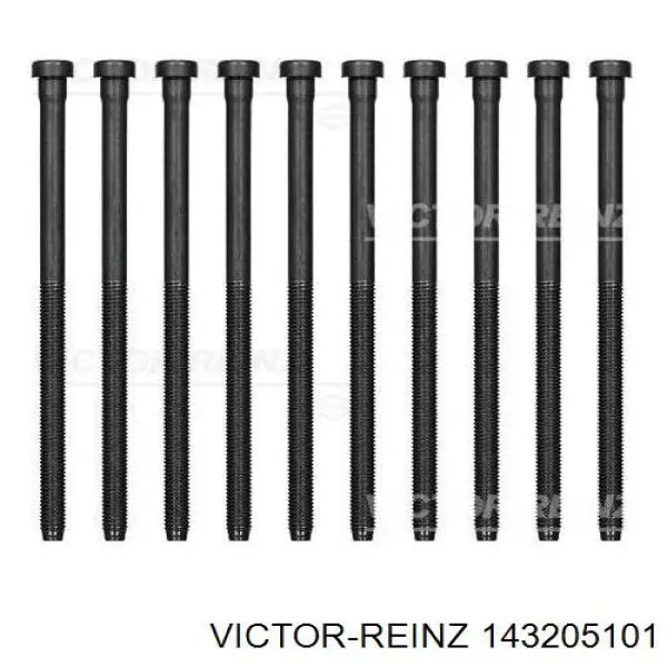 Купить 143205101 Victor Reinz Болт ГБЦ