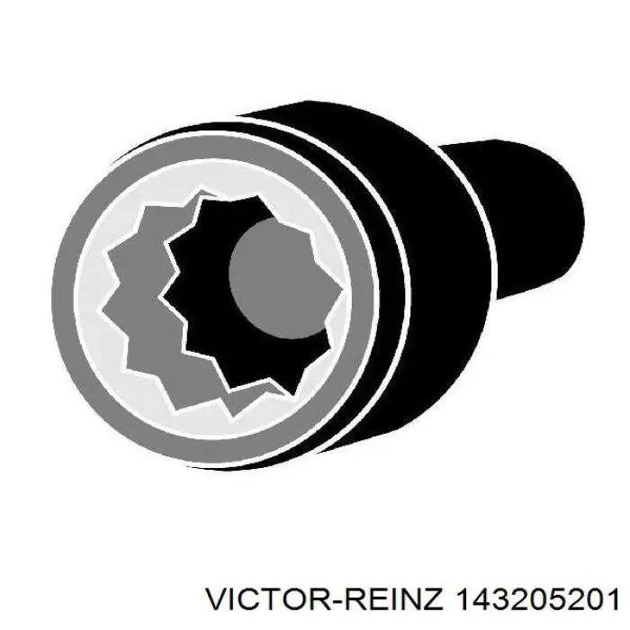 Купить 143205201 Victor Reinz Болт ГБЦ