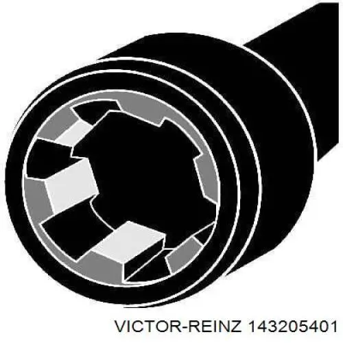 143205401 Victor Reinz