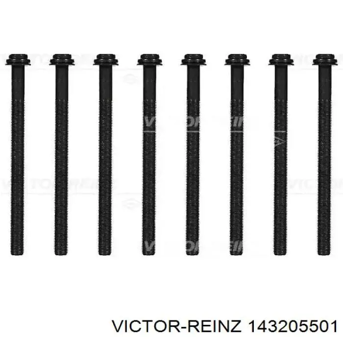 Купить 143205501 Victor Reinz Болт ГБЦ