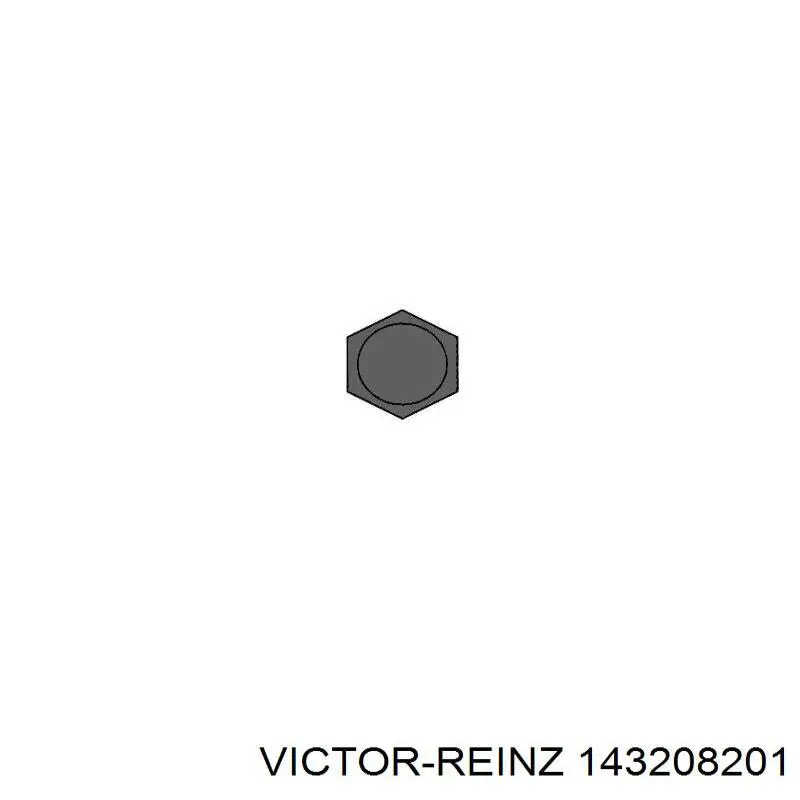 Купить 143208201 Victor Reinz Болт ГБЦ