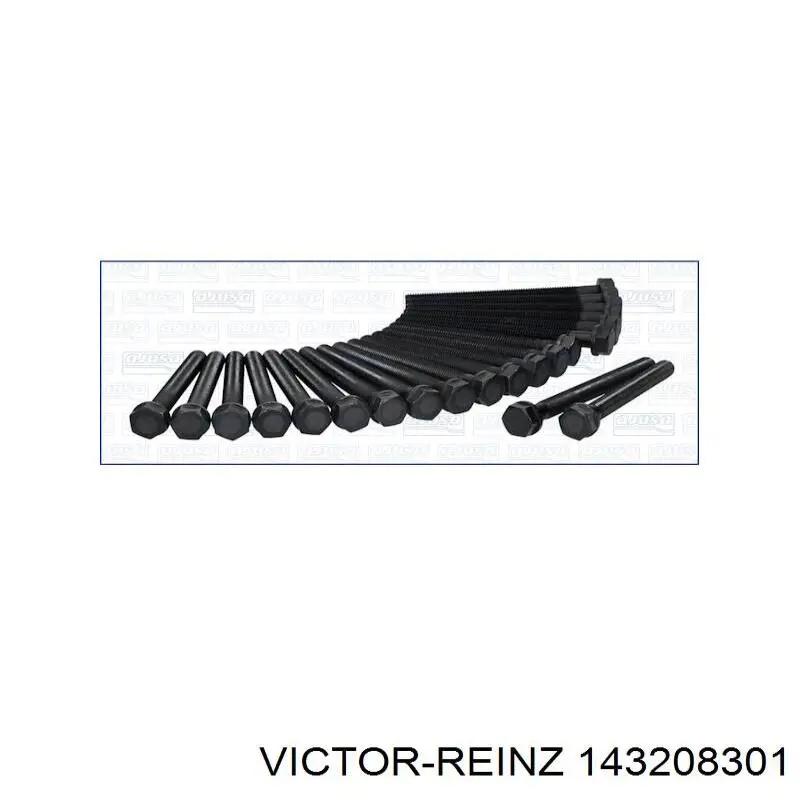 143208301 Victor Reinz