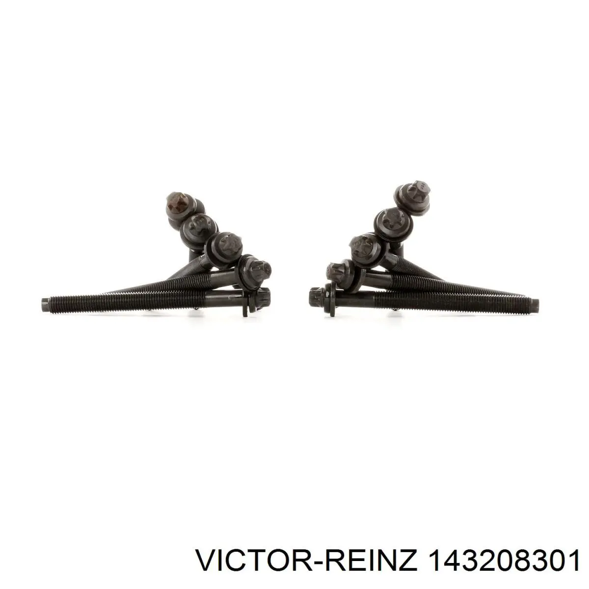 Болт головки блока цилиндров, ГБЦ Victor Reinz 143208301 цена, от 43.33 USD